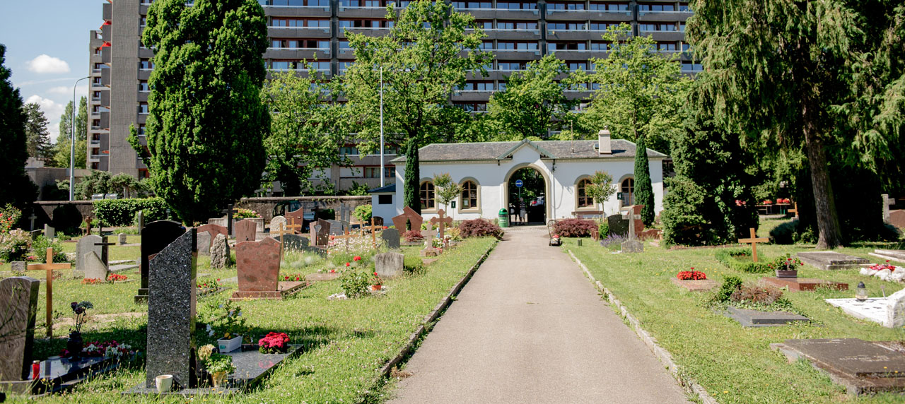 Le cimetière du petit Saconnex avec son entrée et son allée principale