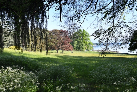 vue sur le lac et un parc à Genève