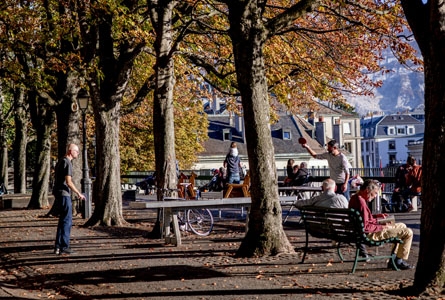 personnes sur un banc en bordure d'une allée d'arbres aux couleurs d'automne