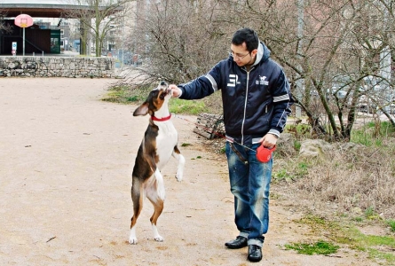 Un propriétaire et son chien en balade