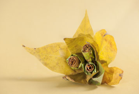 Origami de feuilles