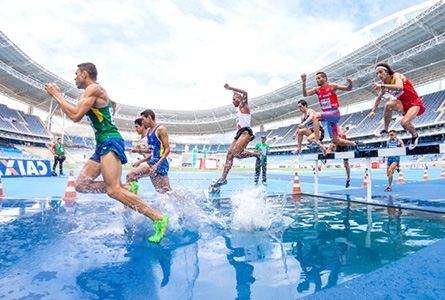 Des athlètes durant une course dans un stade olympique
