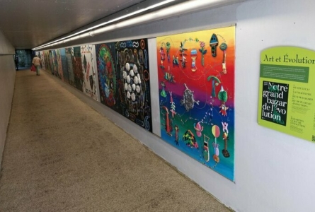 16 panneaux peints exposés sur un mur du passage sous la route de Lausanne