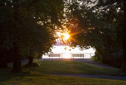 Image d'un banc au Parc de la Perle du Lac, au lever du jour
