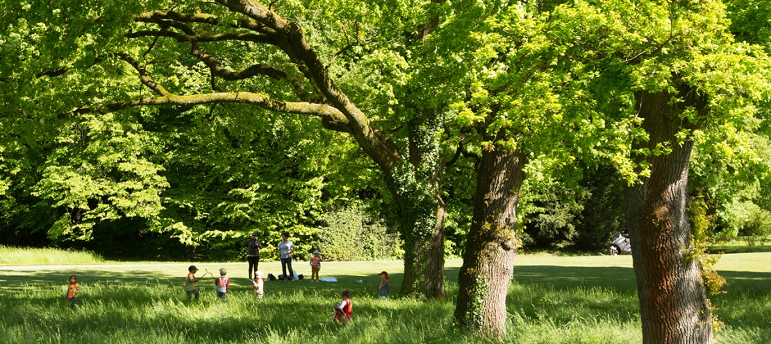Des enfants jouent sous les arbres d'un parc de la Ville de Genève