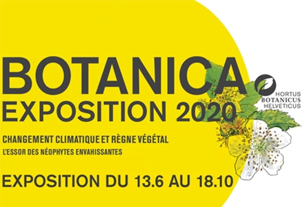 Botanica Exposition - Actualité