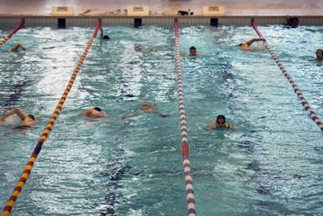 personnes en train de nager entre lignes dans une piscine 