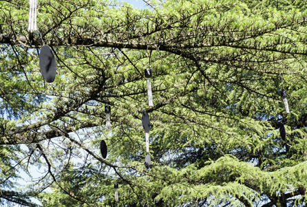 image des carillons attachés aux branches d'un arbre