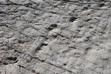 pierre avec traces 