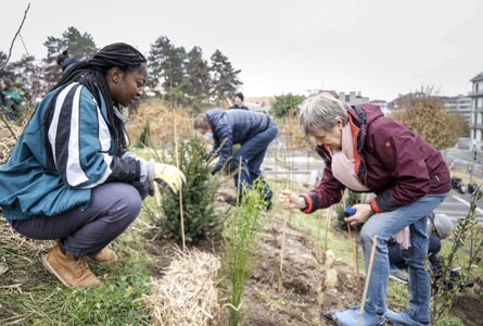 Deux femmes plantent des arbres pour les micro-forêts urbaines