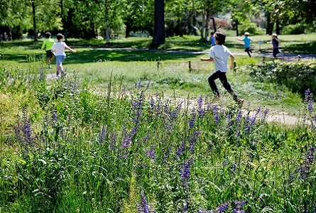 enfants qui courent sur un chemin avec, au premier plan, une prairie avec des fleurs violettes