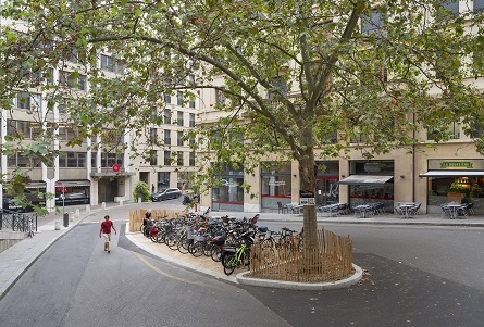 place en béton, avec en son centre un ilôt en terre et un grand arbre, autour duquel sont garés des vélos