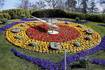 Gros plan sur une horloge composée de nombreuses plantes colorées typiques de la mosaïculture, avec de grandes aiguilles au centre