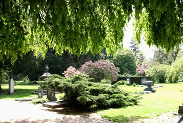Une parcelle de verdure du cimetière des Rois.