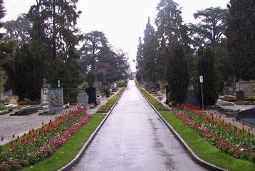 La grande allée du cimetière du Petit-Saconnex.
