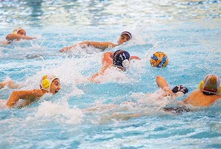 Deux équipes de water-polo lors d'un match