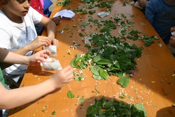 enfants sur une table en train de manipuler des feuilles
